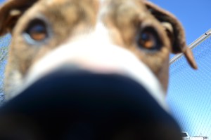 Photographed by Anthony Reyes 2013